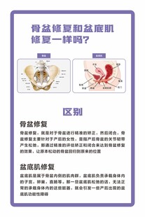 盆骨修复和盆底肌修复