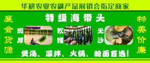 特级海带头