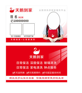 天鹅到家