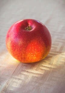 鲜红饱满的单个新鲜苹果