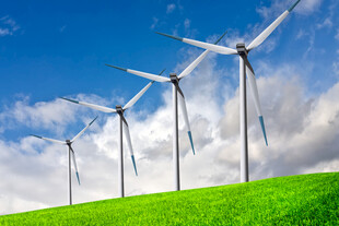 草原上的风力发电机组