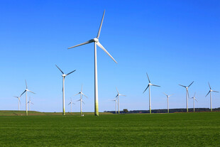 草原上的风力发电机组