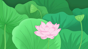 手绘荷花荷叶插画图案