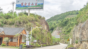 山间路口的特色指示牌