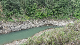 山间碧河 绿意环绕之景