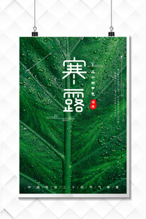 寒露节气海报设计