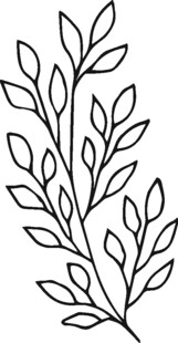 简约枝叶线条图案