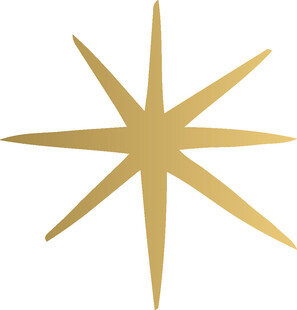 金色八角星图案