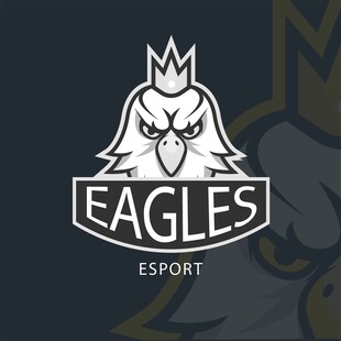 老鹰电竞战队标志