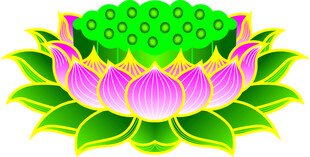 莲花