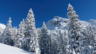雪覆山林的冬日美景