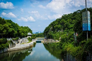 河畔绿树环绕的宁静风光