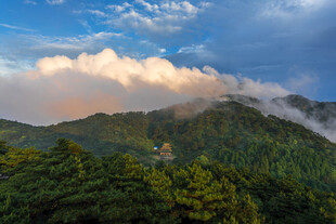 山间云海与葱郁森林美景
