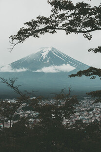 富士山远景与前景树木