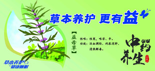 草本养护更有益宣传图
