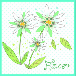 手绘清新雏菊花卉图案