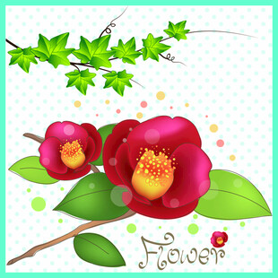 娇艳山茶花插画