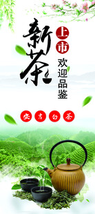 新茶上市 品味春日茶香