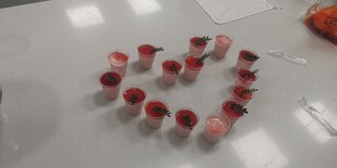 心形排列的甜品慕斯