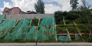 老旧斑驳的绿色墙面