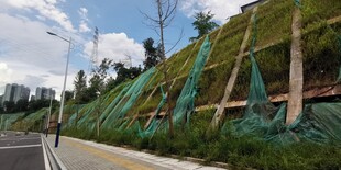 道路旁覆绿网的施工坡面