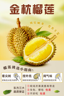 金枕榴莲促销海报