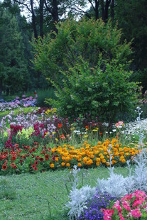 天坛花境风景  