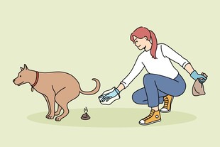 女士清理猫咪粪便场景