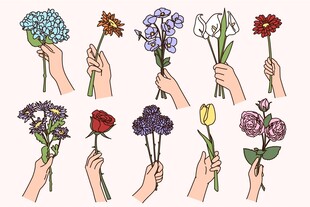 手绘手捧花插画集合