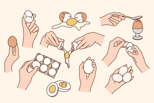 手绘鸡蛋处理过程插画