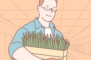 男子手持绿植盆栽
