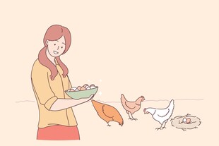女子喂食可爱家禽画面