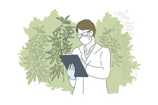 植物科研人员记录观察数据