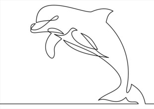 跃起的海豚线条画