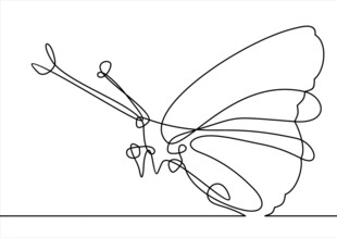 蝴蝶线条画