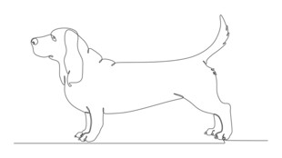 站立的短腿猎犬轮廓图