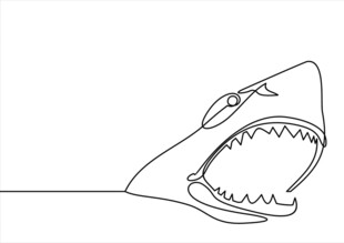 鲨鱼轮廓线条画