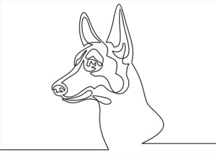 杜宾犬线条画头像