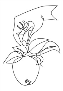 手绘盆栽花卉简笔画