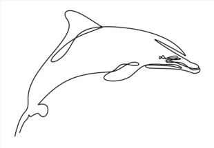 跃动的海豚线条画