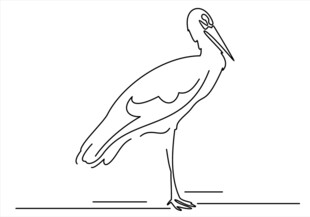 站立的白鹳线条画