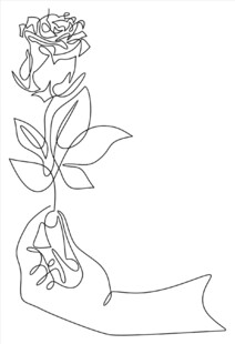手捧玫瑰线条插画