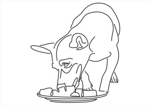 狗进食简笔画