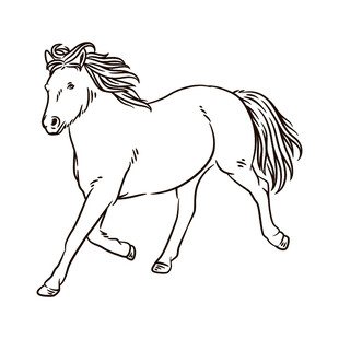 奔跑的骏马简笔画