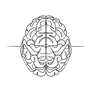 简约线条勾勒的人脑图形
