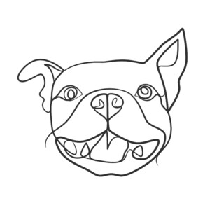 线条勾勒的可爱斗牛犬头