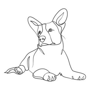 趴着的柯基犬线条画