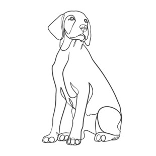 坐姿大丹犬线条简笔画