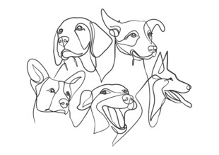 多样犬类线条头像集合