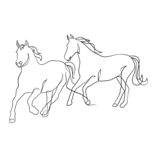 奔跑的双马线条画